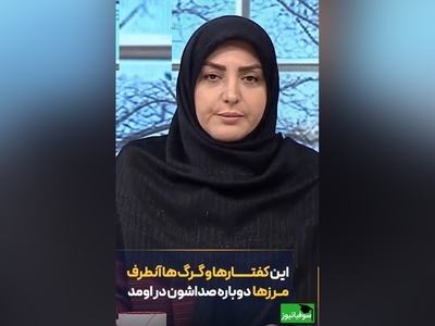 عصبانیت شدید المیرا شریفی مقدم از کفتارها و گرگ‌های آنور مرزها/ اصلا به شما ربطی نداره،شما خیلی بیخود میکنیکه بخوای تو کار مملکت ما دخالت کنی