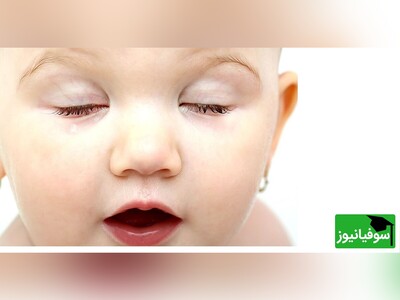 (ویدئو) کشف جالب دانشمندان علوم اعصاب از تأثیر باورنکردنی پلک‌زدن بر افزایش تمرکز