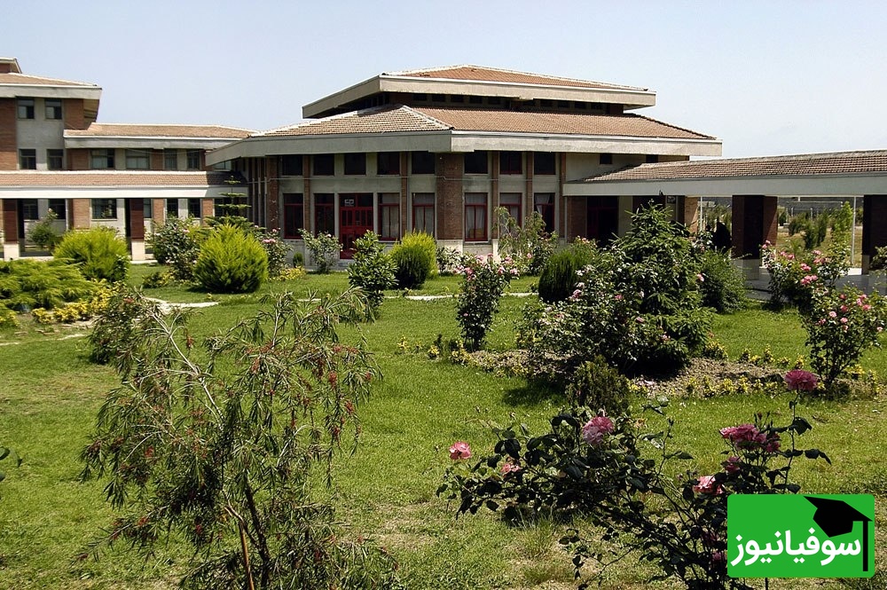 (ویدیو) نگاهی نزدیک به دانشگاه مازندران/ میان درختان سرسبز و نسیم خنک دریای مازندران با فضایی آرام و دلنشین برای اندیشه و یادگیری🤩