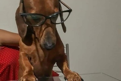 (ویدئو) وضعیت شب امتحان ریاضی دانشجوها که خنده‌دارتر از هر فیلم کمدی‌ایه! 🤣