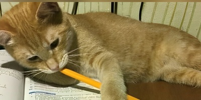 ویدئو | طنز دانشجویی روز؛ وقتی بقیه‌ی دوستات از هوش مصنوعی بی‌خبرن...🤣