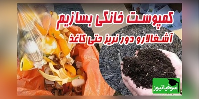 تولید کمپوست و کود خانگی برای گل و گیاهان/ روشی راحت برای داشتن گیاهان سرسبز و سرزنده+ ویدیو