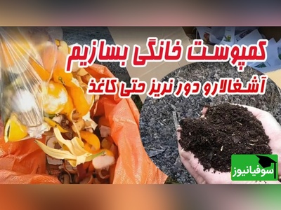 تولید کمپوست و کود خانگی برای گل و گیاهان/ روشی راحت برای داشتن گیاهان سرسبز و سرزنده+ ویدیو