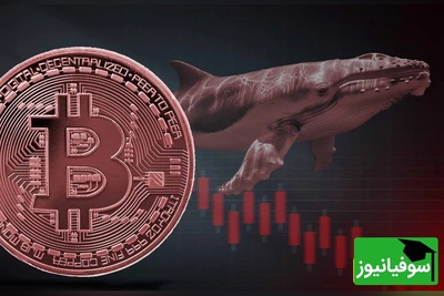 بازار در آستانه «درد و ترس حداکثری»؛ پیش‌بینی سقوط تاریخی سهام و ارزهای دیجیتال در هفته اول نوامبر