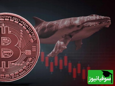 بازار در آستانه «درد و ترس حداکثری»؛ پیش‌بینی سقوط تاریخی سهام و ارزهای دیجیتال در هفته اول نوامبر