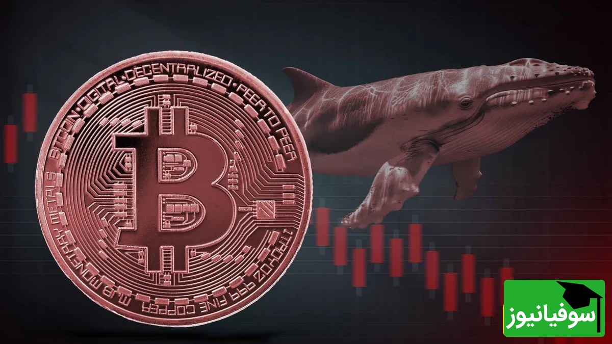 بازار در آستانه «درد و ترس حداکثری»؛ پیش‌بینی سقوط تاریخی سهام و ارزهای دیجیتال در هفته اول نوامبر