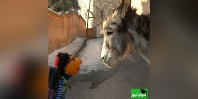 نوستالژیک‌ترین مهرماه ایرانی و بازگشایی مدرسه با کلاه قرمزی/ سلام الاغ عزیز حالت چطوره؟/ بریم زنگ تفریح😍