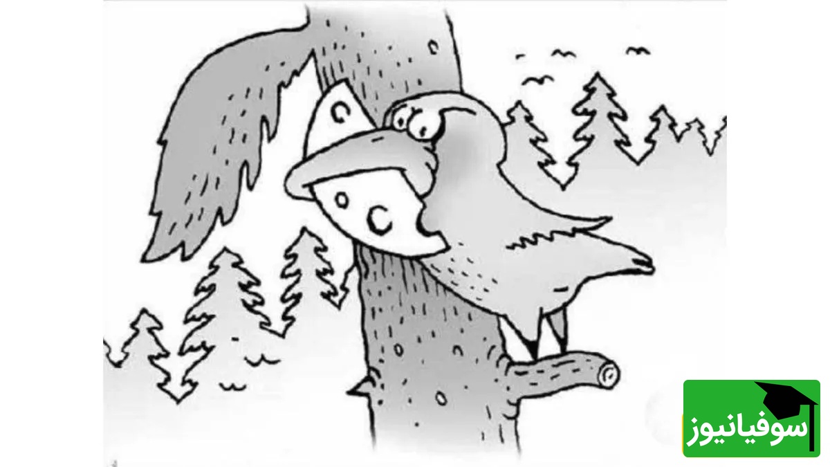 معمای خطای دید