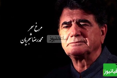اجرای ملکوتی و زنده استاد شجریان با تصنیف مرغ سحر از ملک‌الشعرا بهار / صدایی که برای همیشه در ذهن‌ها ماندگار شد و روح آدم رو به پرواز درمیاره