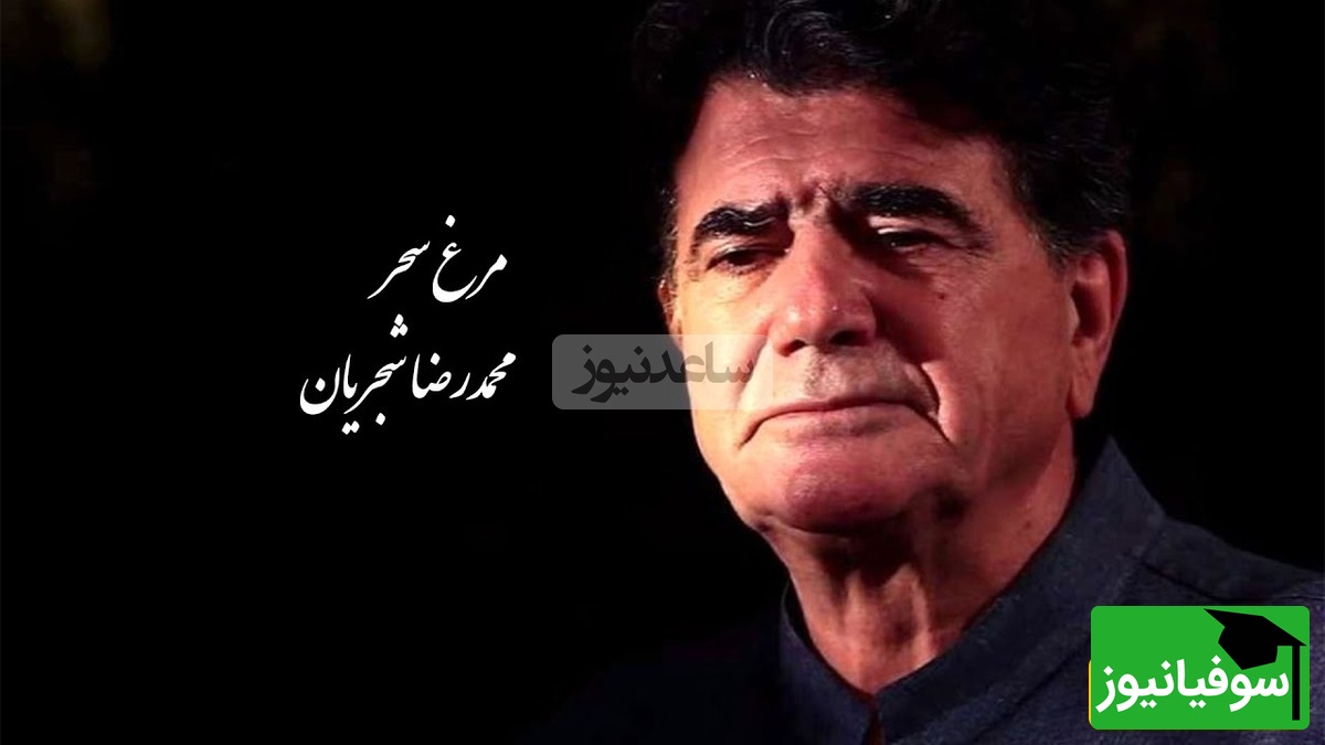 اجرای ملکوتی و زنده استاد شجریان با تصنیف مرغ سحر از ملکالشعرا بهار / صدایی که برای همیشه در ذهنها ماندگار شد و روح آدم رو به پرواز درمیاره