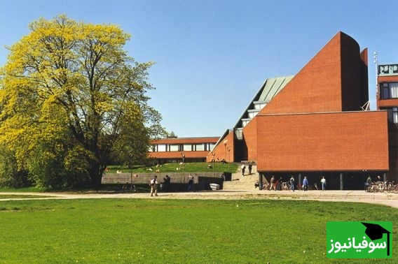 دانشگاه فنی