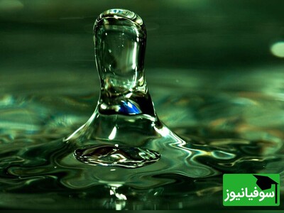 ویدئو/ آیا آب صد‌درصد آگاه است؟/ واکنش‌های باورنکردنی آب به تصاویر و افکار که علم و افسانه را در هم می‌آمیزد