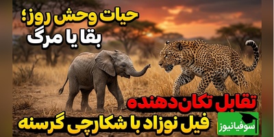 ویدئوی حیات وحش روز؛ بقا یا مرگ، تقابل تکان‌دهنده فیل نوزاد با شکارچی گرسنه