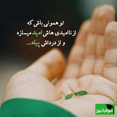 کائنات پیام ویژه ای برات داره/ یادت باشد تا وقتی نفس می‌کشی، امید هنوز زنده است و تا وقتی امید زنده است، هیچ داستانی به پایان نرسیده است/ پیام انگیزشی امروز 2 تیر 1405 + ویدئو