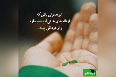 کائنات پیام ویژه ای برات داره/ یادت باشد تا وقتی نفس می‌کشی، امید هنوز زنده است و تا وقتی امید زنده است، هیچ داستانی به پایان نرسیده است/ پیام انگیزشی امروز 2 تیر 1405 + ویدئو