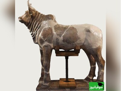 ویدیو/ "گاو کوهان‌دار دیرینگی" نگهبان معبد چغازنبیل و زیباترین گنجینۀ کشف شده از تمدن پادشاه ایلامی