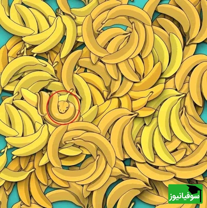 مار