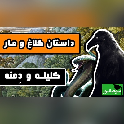درس بزرگ کلیله و دمنه برای ضعیف‌ها با حکایت کلاغ و مار؛ اگر قدرت نداری، هوش داشته باش! +ویدئو