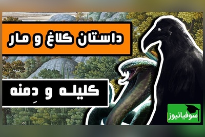 درس بزرگ کلیله و دمنه برای ضعیف‌ها با حکایت کلاغ و مار؛ اگر قدرت نداری، هوش داشته باش! +ویدئو