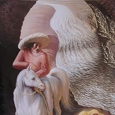 خطای دید/ حتی افرادی با ضریب هوشی بالا و انیشتینی هم نمی‌توانند در کمتر از 5 ثانیه خرس قطبی پنهان در عکس را پیدا کنند