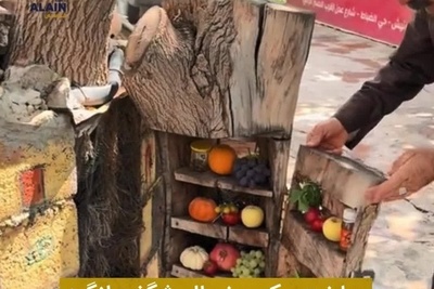 خلاقیت تحسین‌برانگیز یک کشاورز هنرمند از درخت تا یخچال؛ ایده‌ای که عقل از سرت می‌بره/ هنر نزد مردان است و بس