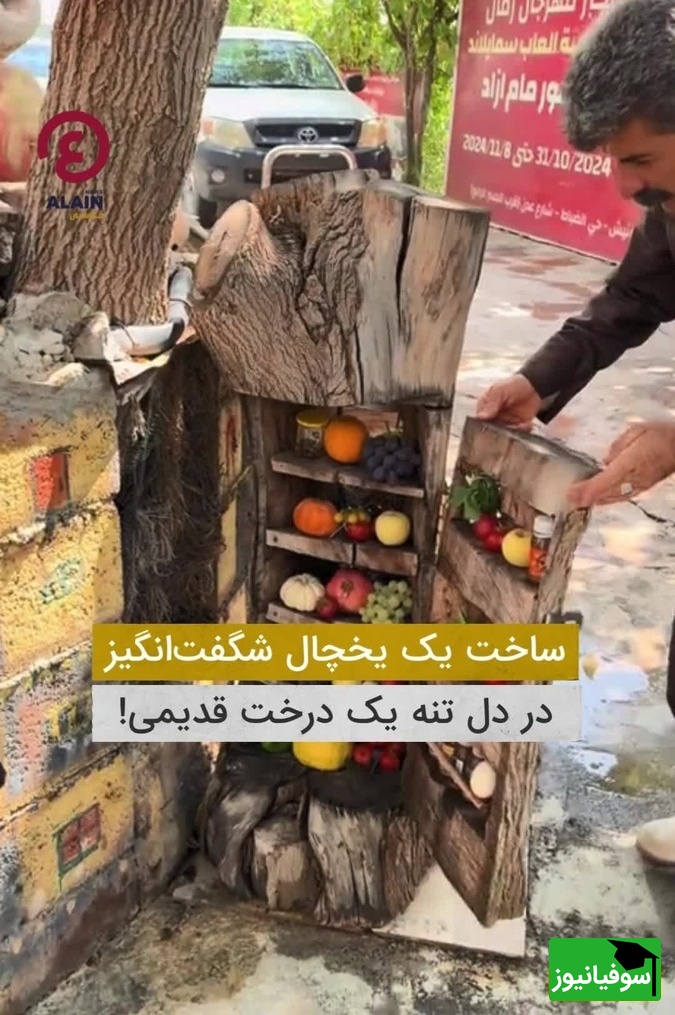 خلاقیت تحسینبرانگیز یک کشاورز هنرمند از درخت تا یخچال؛ ایدهای که عقل از سرت میبره/ هنر نزد مردان است و بس
