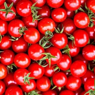 چالش دقت/ حتی افرادی با قدرت بینایی 10 از 10 نتوانستند در 7 ثانیه "گوجه فرنگی" را در میان "آلبالوها" پیدا کنند