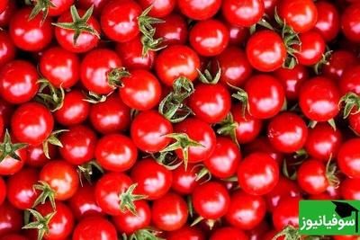 چالش دقت/ حتی افرادی با قدرت بینایی 10 از 10 نتوانستند در 7 ثانیه "گوجه فرنگی" را در میان "آلبالوها" پیدا کنند