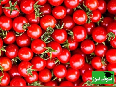 چالش دقت/ حتی افرادی با قدرت بینایی 10 از 10 نتوانستند در 7 ثانیه "گوجه فرنگی" را در میان "آلبالوها" پیدا کنند