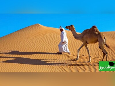 ویدیو/ چرا گفته‌اند: «می‌فرستمت جایی که عرب نی انداخت»؟