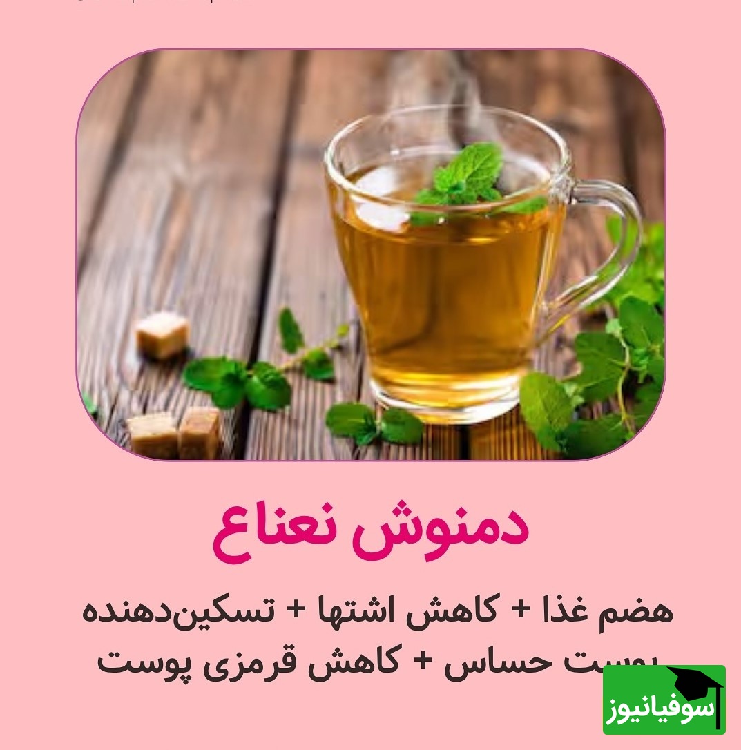 دمنوش نعناع