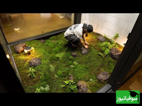 خلاقیت خیره کننده اوستا باغبان برای ساخت جنگل طبیعی وسط خانه؛ اگه یه همچین اتاق شیشه‌ای جنگلی داشتی میتونستی از خونه بری بیرون؟ + فیلم