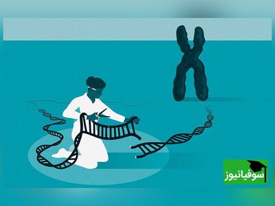 (ویدئو) کشف قیچی برش DNA/ تغییر رنگ چشم و جلوگیری از پیری و مرگ ممکن می‌شود!