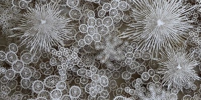 از دانه‌های برف تا مرجان‌های دریایی/ نگاهی به اثر کاغذی شگفت‌انگیز و مسحورکننده یک هنرمند