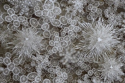 از دانه‌های برف تا مرجان‌های دریایی/ نگاهی به اثر کاغذی شگفت‌انگیز و مسحورکننده یک هنرمند