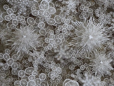 از دانه‌های برف تا مرجان‌های دریایی/ نگاهی به اثر کاغذی شگفت‌انگیز و مسحورکننده یک هنرمند