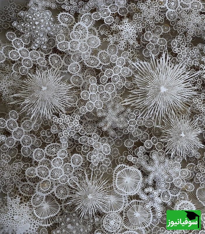 از دانه‌های برف تا مرجان‌های دریایی/ نگاهی به اثر کاغذی شگفت‌انگیز و مسحورکننده یک هنرمند