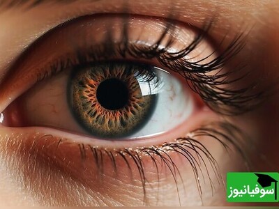 ویدیو / ترسناک‌ترین تئوری در مورد بدن انسان؛ وقتی بدن چشم را دشمن می‌بیند!