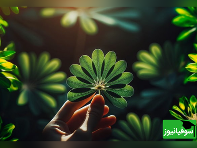 (ویدئو) دانشمندان در تلاش برای اثبات تأثیر شگفت‌انگیز موسیقی بر روی گیاهان