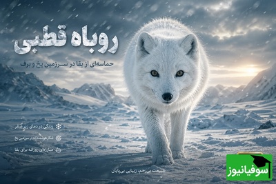 (ویدئو) مستند حیات‌وحش؛ نبرد خاموش در برف‌های بی‌پایان؛ روباه قطبی چگونه دوام می‌آورد؟