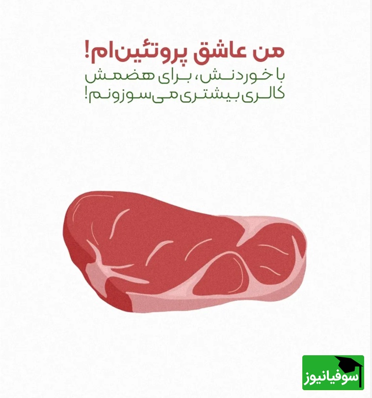 متابولیسم