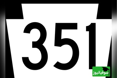 خطای دید اعداد/ حتی افرادی با ضریب هوشی «مایکل فارادی» نمی‌توانند عدد «351 » را از بین اعداد «331» در  4 ثانیه پیدا کنند