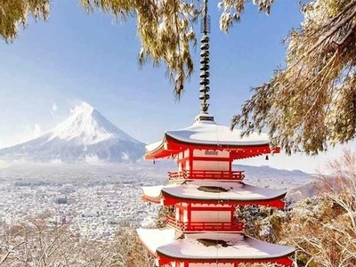 ویدیو| میدونی ژاپنیای باستان چطوری در برابر زلزله‌های 7 ریشتری زنده میموندن؟!