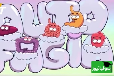 (ویدئو) سفر 36 ساعته بدن با شکم خالی؛ از پاکسازی سلولی تا تصمیم عجیب مغز در لحظه آخر!😂