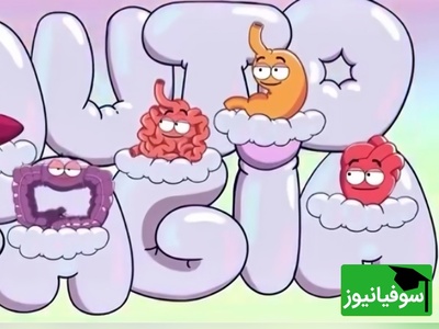 (ویدئو) سفر 36 ساعته بدن با شکم خالی؛ از پاکسازی سلولی تا تصمیم عجیب مغز در لحظه آخر!😂