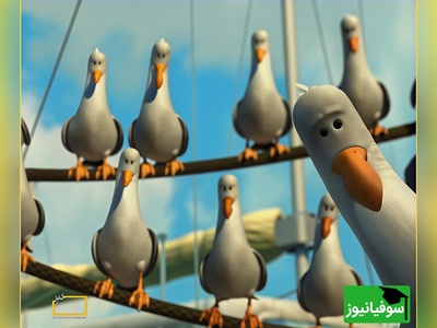 معما تصویری| اگه ضریب هوشی بالایی داری و فکر میکنی تیزبینی زیر 10 ثانیه مرغ دریایی رو تو تصویر پیدا کن!