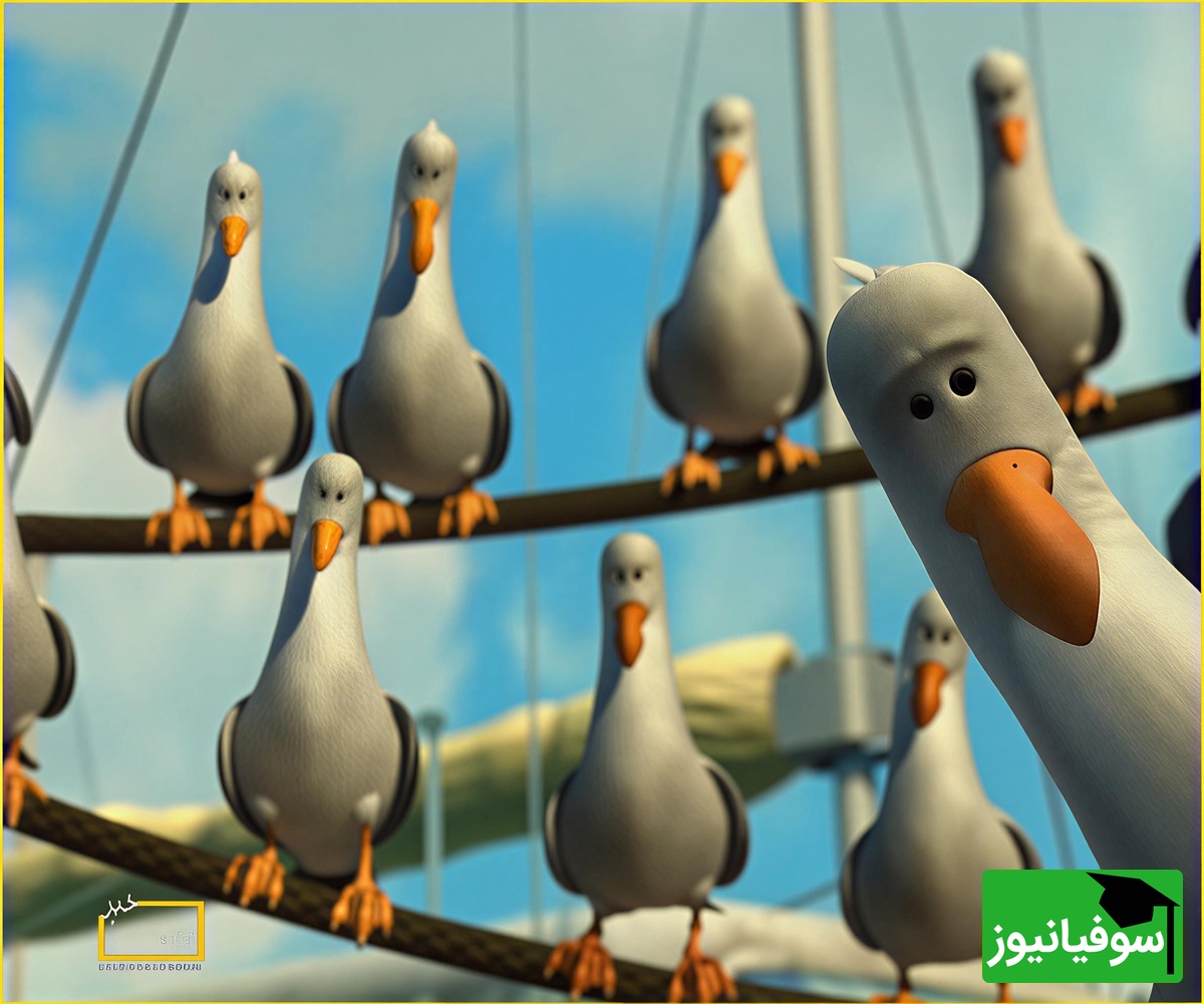 معما تصویری| اگه ضریب هوشی بالایی داری و فکر میکنی تیزبینی زیر 10 ثانیه مرغ دریایی رو تو تصویر پیدا کن!