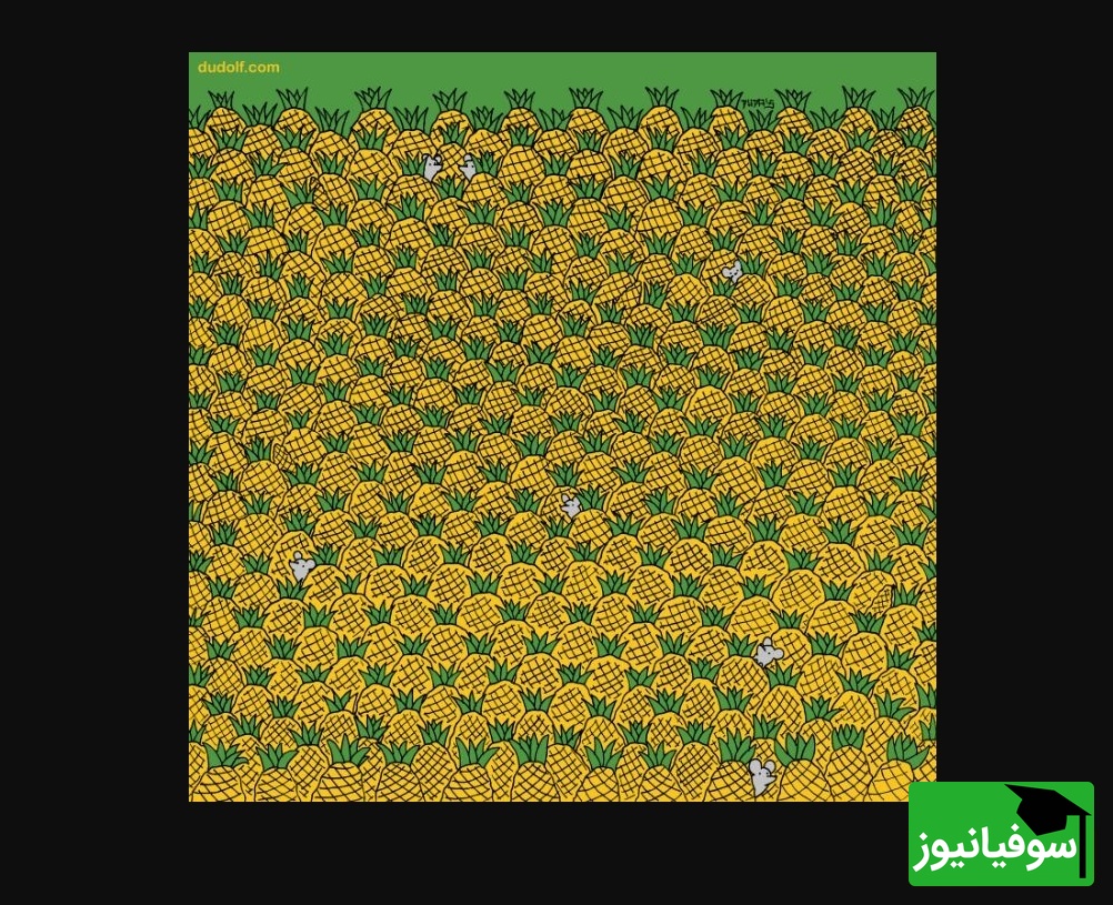 معما