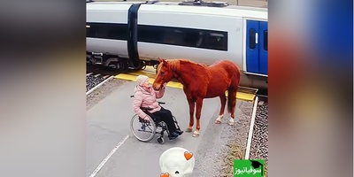 وقتی ثانیه‌ها بوی معجزه می‌دهند؛ امضای خدا پایِ دفتر زندگی/ آخری از همه جذاب تر بود ❤ + ویدئو