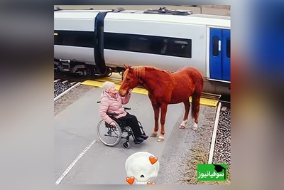 وقتی ثانیه‌ها بوی معجزه می‌دهند؛ امضای خدا پایِ دفتر زندگی/ آخری از همه جذاب تر بود ❤ + ویدئو